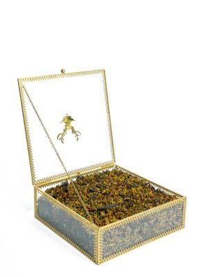 السرغينة الفاسية